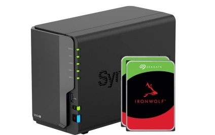 Synology NAS DiskStation DS224 2 bay Seagate Ironwolf 12 TB synology