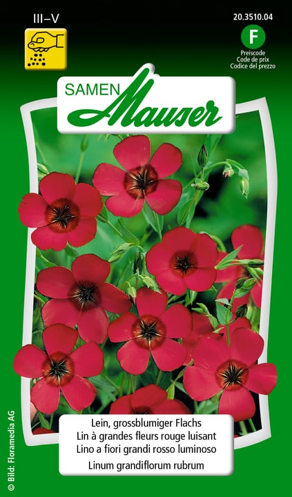 Samen Mauser Lino a fiori grandi rosso luminoso