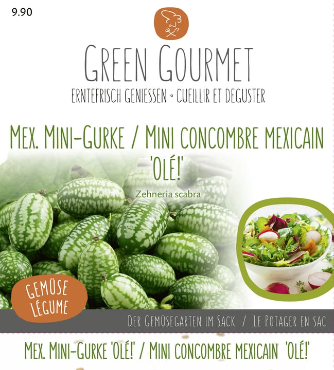 Do it + Garden Maxi Garten Mexikanische Mini-Gurke 'Olé