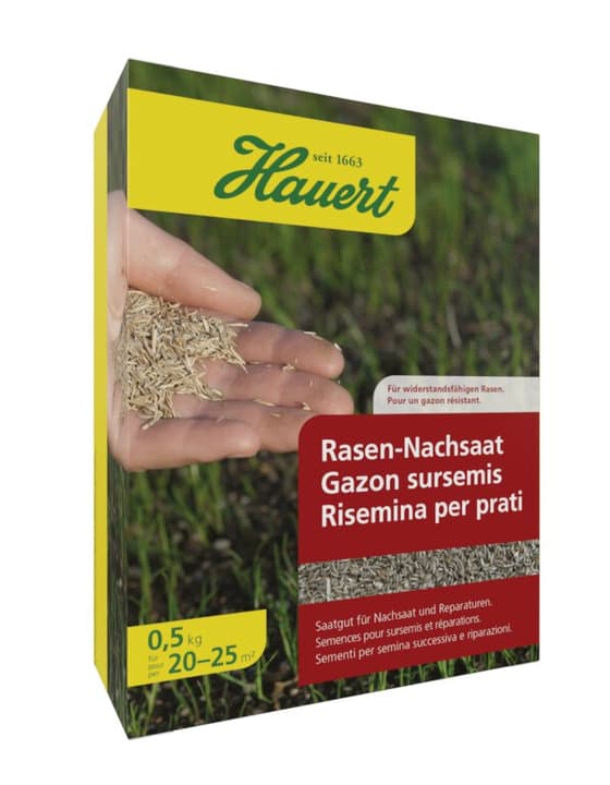 Hauert Sementi semina successiva di tappeti erbosi, 0.5 kg